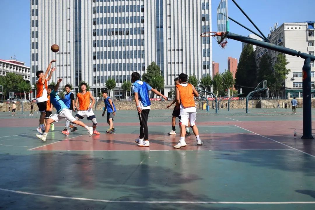 微信图片_20201019162419